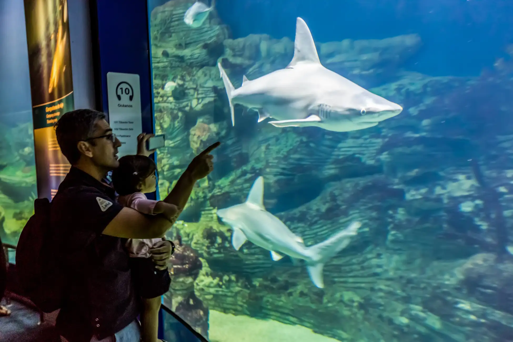 Valencia: Eintrittskarte Oceanogràfic