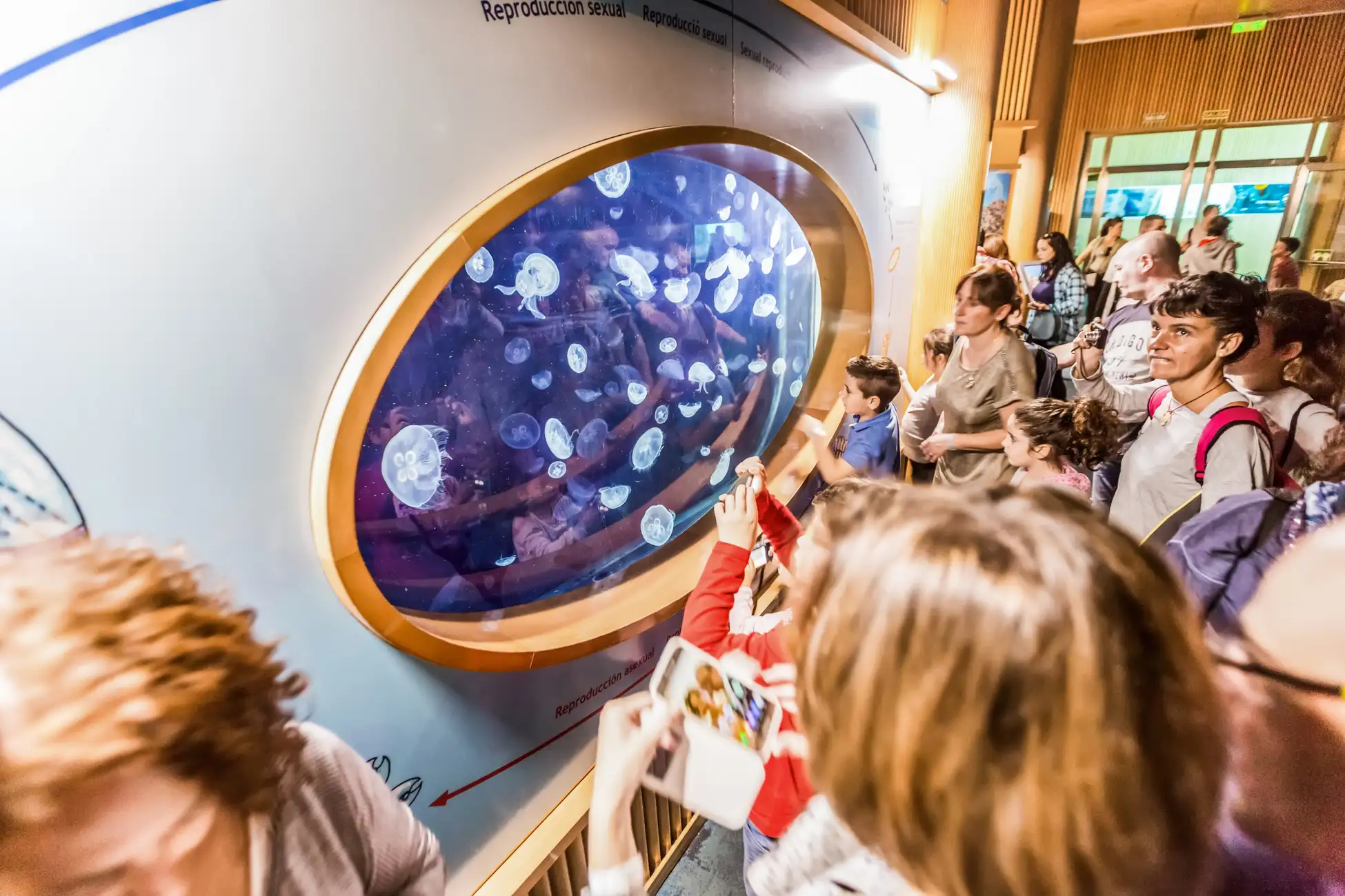 Valence : Billet d'entrée à l'Oceanogràfic