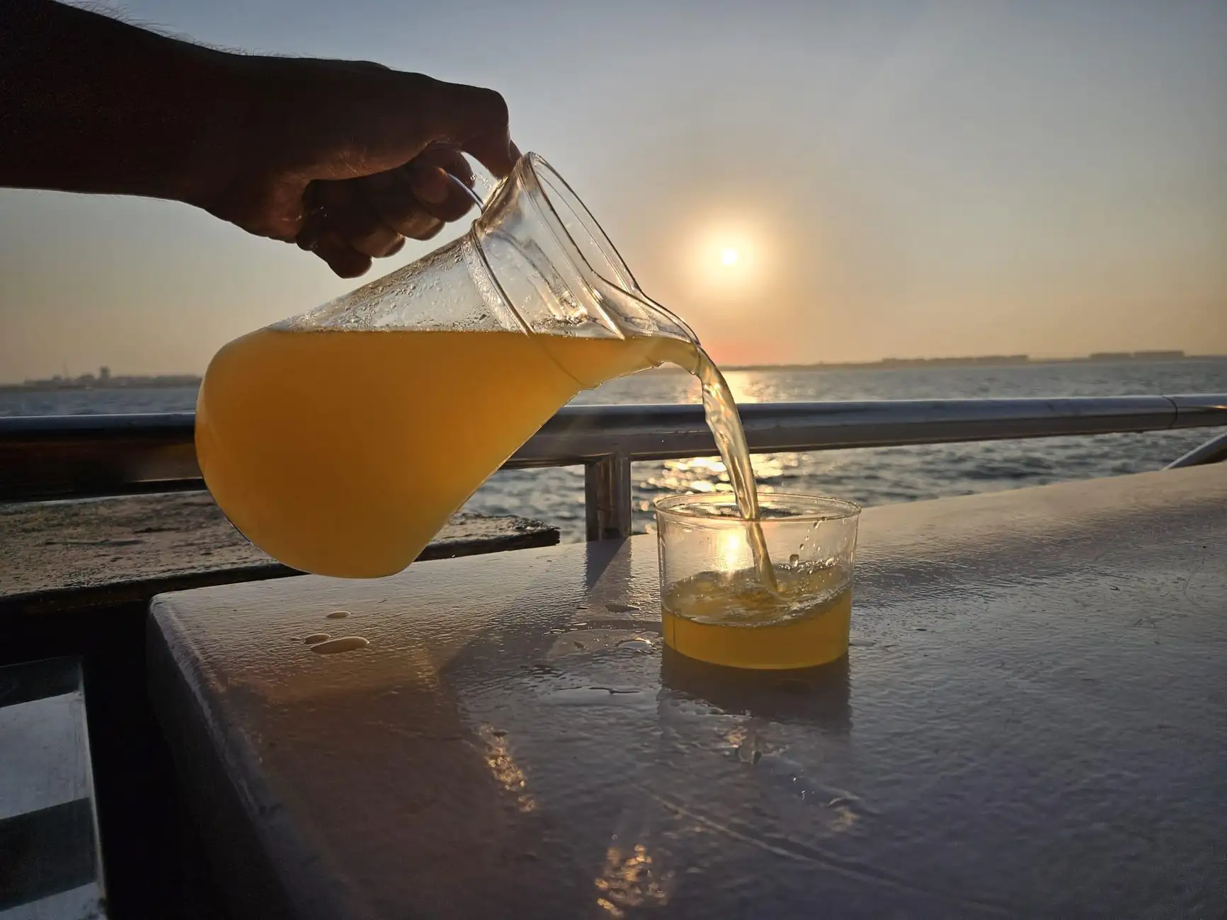Valencia: Sunset or Daytime Catamaran Cruise with Drink